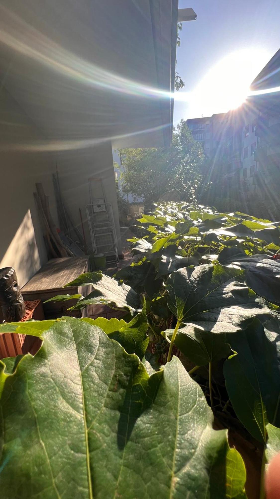 Garden Suite Bolzano Exterior foto