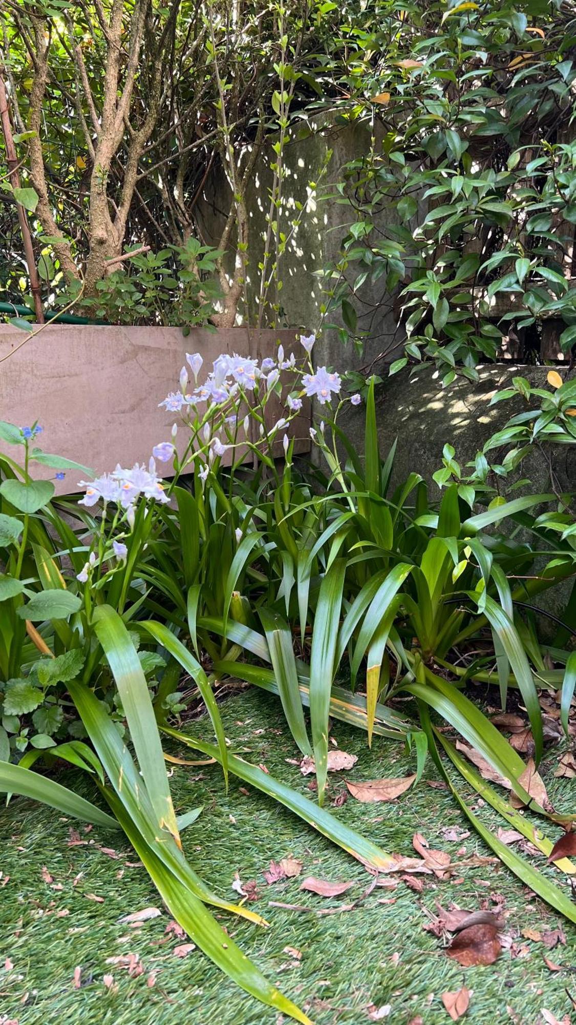 Garden Suite Bolzano Exterior foto